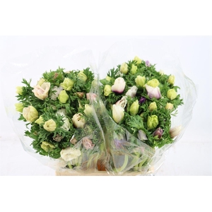 Anem Marianne Panda White