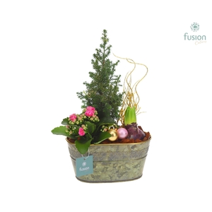 Schaal Zink ovaal Small Kerst met Arrangement