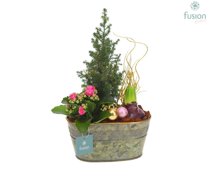 <h4>Schaal Zink ovaal Small Kerst met Arrangement</h4>