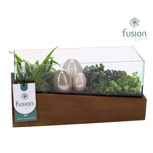 Aquarium Small Pasen met Arrangement