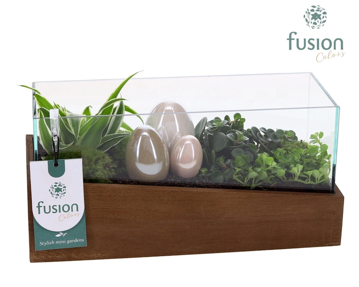 <h4>Aquarium Small Pasen met Arrangement</h4>