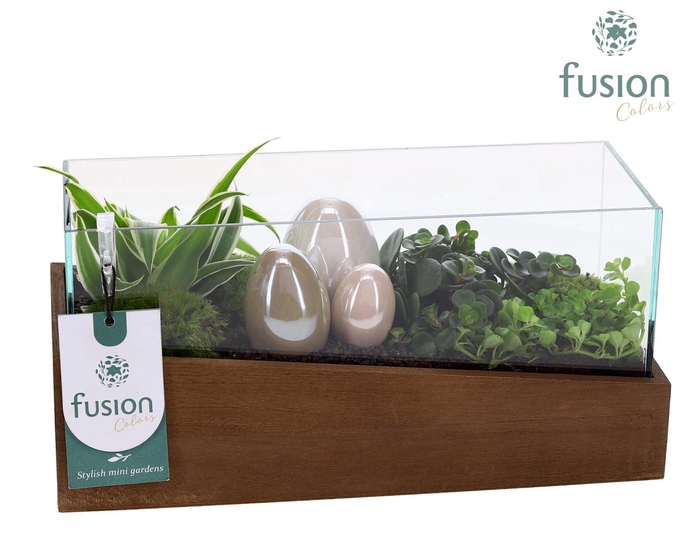 <h4>Aquarium Small Pasen met Arrangement</h4>