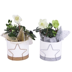 Christmas Arr. Outdoor Ceramic Pot Metal Starframe Ø13cm 1PP