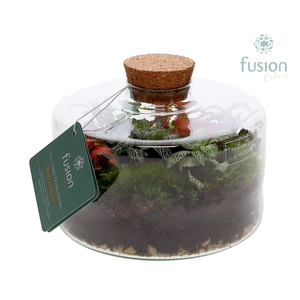 Green Bottle Kyra Medium met Terrarium arrangement