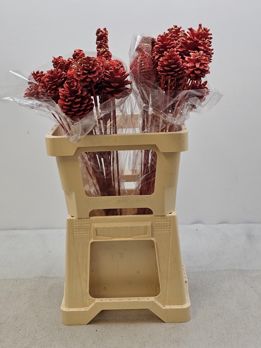 KERST OP STOK MIX ROOD