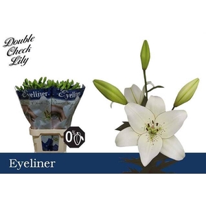 LI LA EYELINER