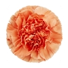 DI ST HERMES ORANGE