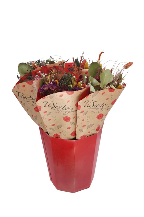 <h4>DROOGBL BEWERKT H%</h4>