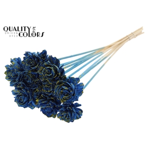 Shola Dahlia 6cm on stem Splashed Blue/Yellow