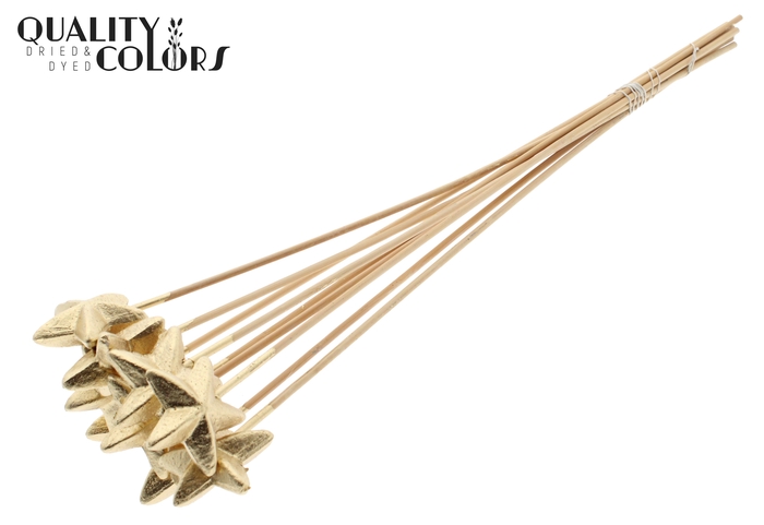 Styro Star flat type on stem Antique Gold