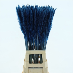 Dried Pampas Fluffy D.blue