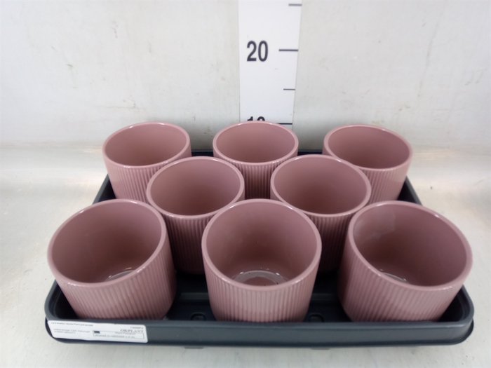 <h4>Pot   ...Keramische H%</h4>