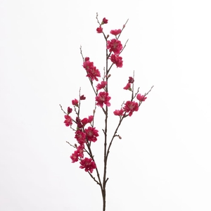 Af Prunus L86cm Beauty