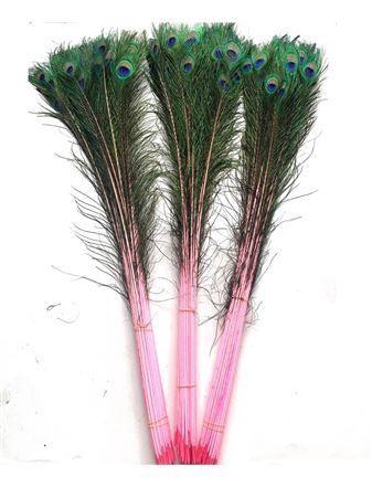 <h4>Feather Peacock L90-100 Natutal Pink</h4>