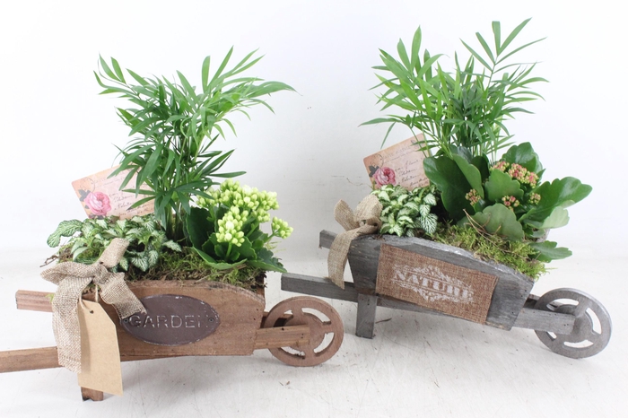 <h4>arr2 TD - Houten kruiwagen - roze/wit</h4>