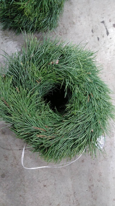 <h4>ADVENTKRANZ 25CM BERGKIEFER</h4>