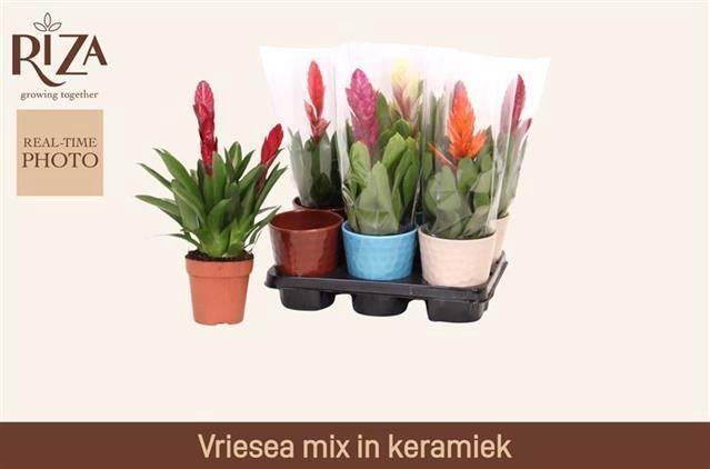 <h4>VRIES GEM 5 SRT</h4>