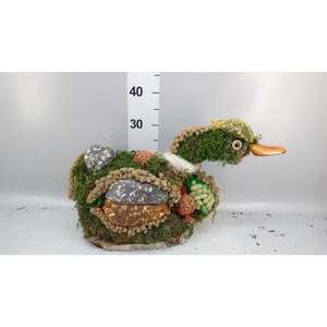 Decoratie  ..Vogelzaadfiguur  H%
