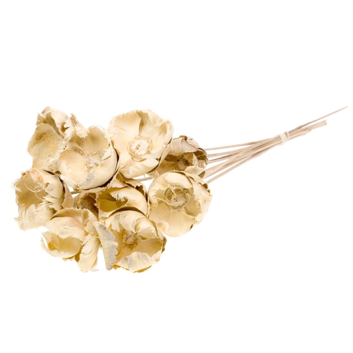 <h4>Palmcup O/s 10pc Bleached White</h4>