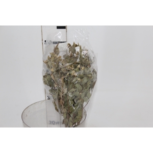 PLANTA SECA ALECRIN BEGE 50CM