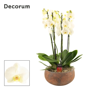 Yara 6 tak symphony white (Deco-collection)