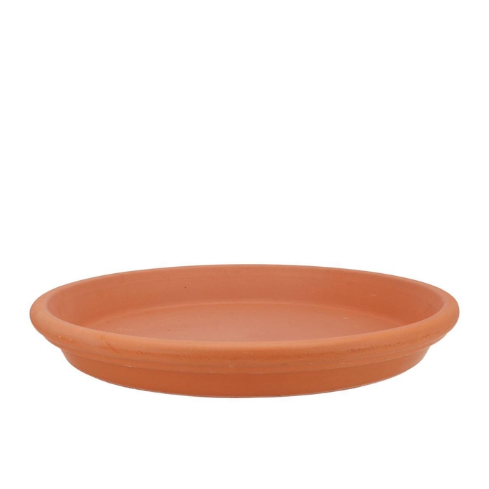 <h4>Terracotta Waterdish D36xh5cm</h4>