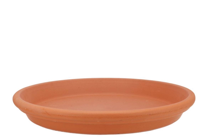 <h4>Terracotta Waterdish D36xh5cm</h4>