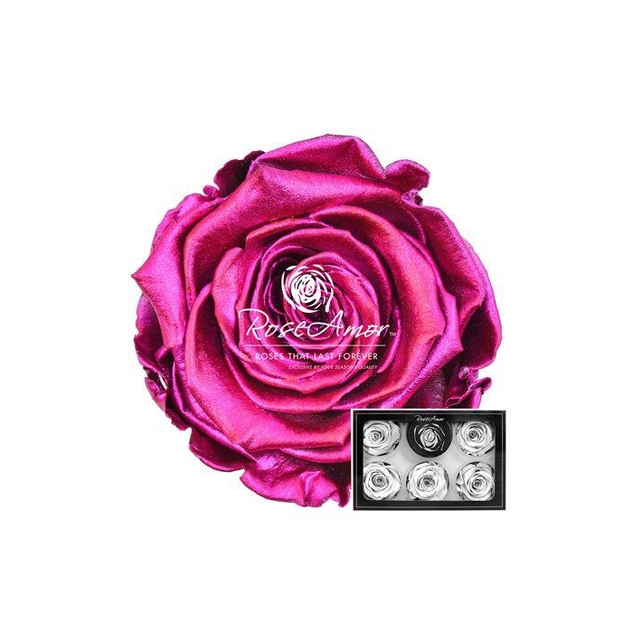 <h4>Xl Metallic Pink</h4>