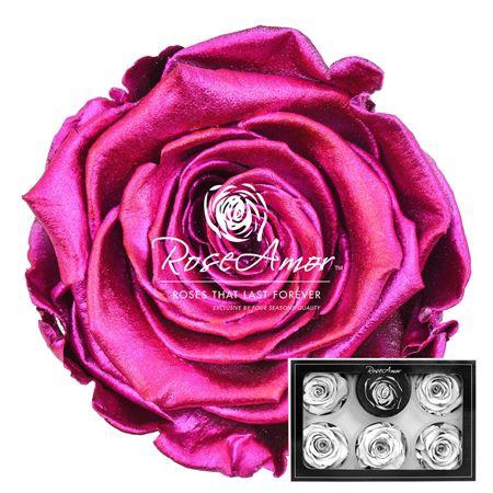 Xl Metallic Pink