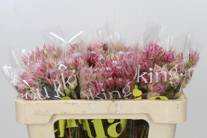 <h4>Blushing Bride Pink 2/5 Flowers</h4>