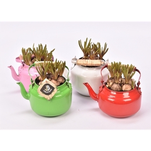 Zink thee pot in 4 kleuren mix