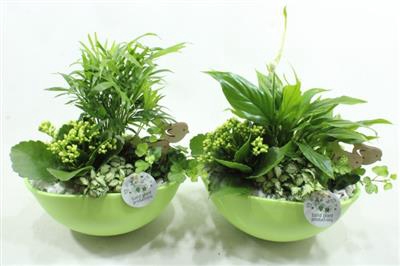 <h4>SC05 EYLEEN GREEN</h4>