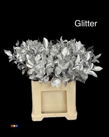 <h4>Ruscus Silver + Glit Bio</h4>