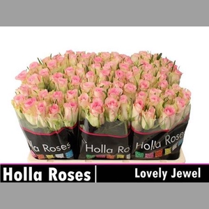 R Gr Lovely Jewel
