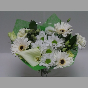 Bouquet Shorties White