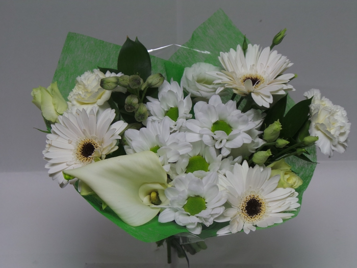 Bouquet Shorties White