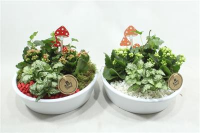 7451 KER KON LAAG ROOD/WIT