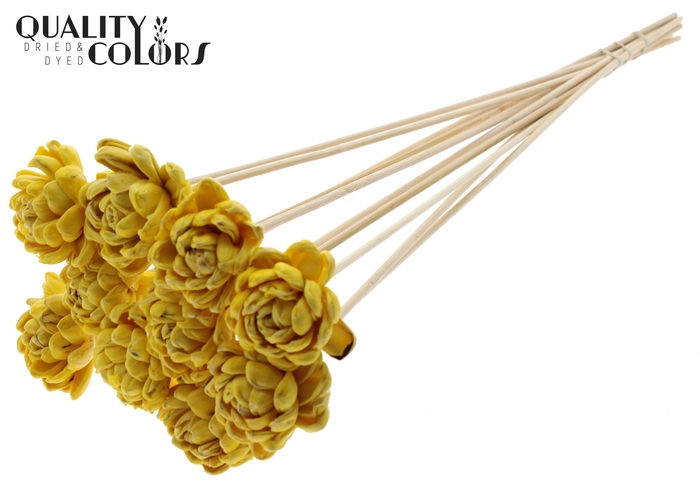 <h4>Shola New Beauty Rose 6cm on stem Wax Yellow</h4>