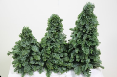 <h4>KERSTBOOM 60 CM</h4>