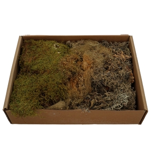 Dried articles Moss Mix 650g