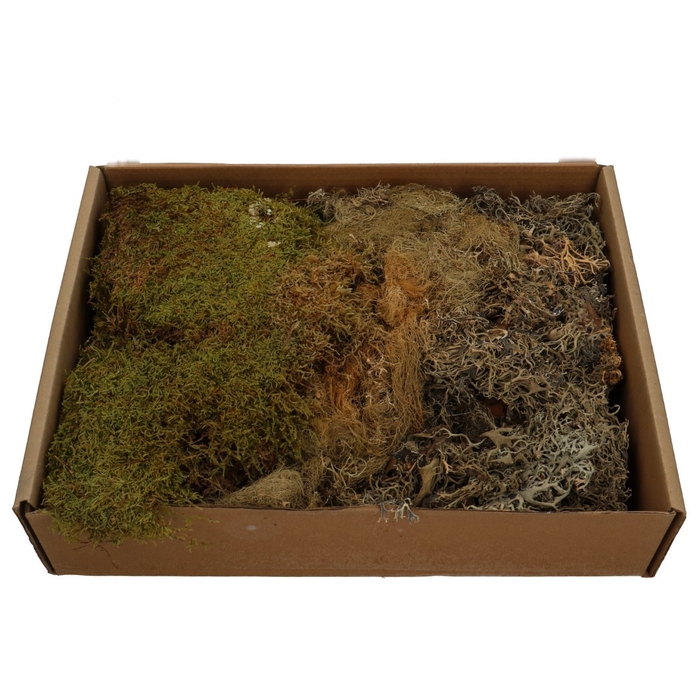 <h4>Dried articles Moss Mix 650g</h4>