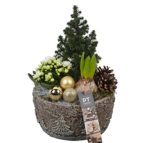 <h4>PTCHG5647 Arrangementen Kerst</h4>