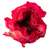 R Gr Enchantment Bicolor Pink 50cm EC