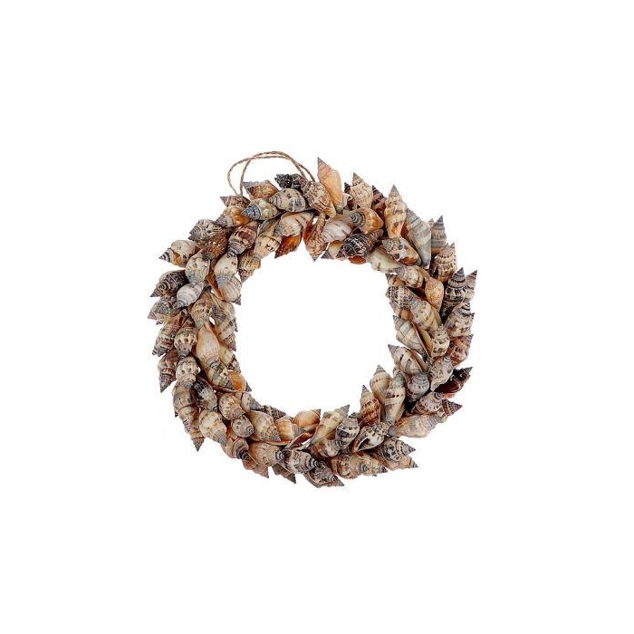 <h4>Wreath Shell Strombus H5D15</h4>