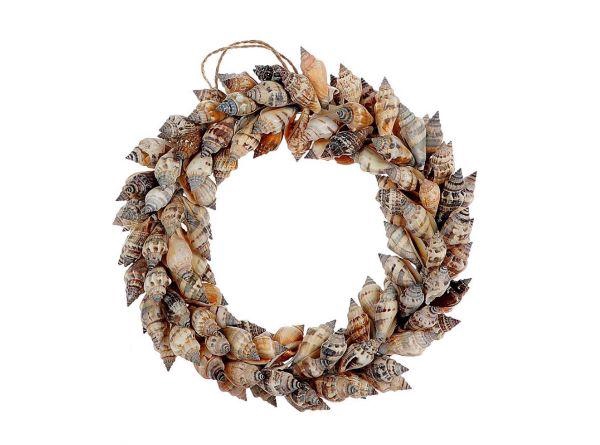 Wreath Shell Strombus H5D15