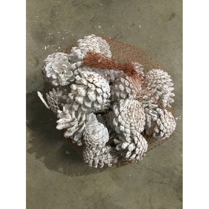 <h4>DENAPPEL WHITE 500GR</h4>