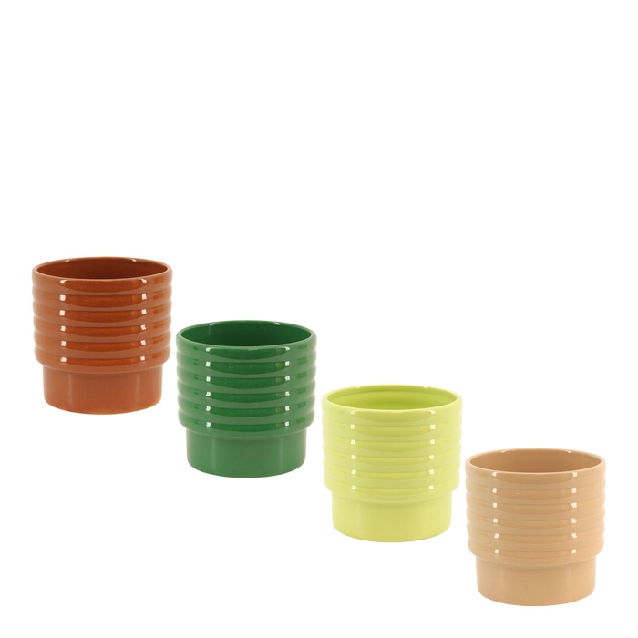 <h4>BLOEMPOT H%</h4>