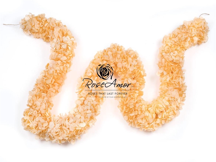 <h4>Guirnaldes Hydrangea 2meter Cha99</h4>