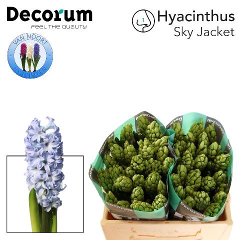 <h4>HYAC SKY JACKET</h4>