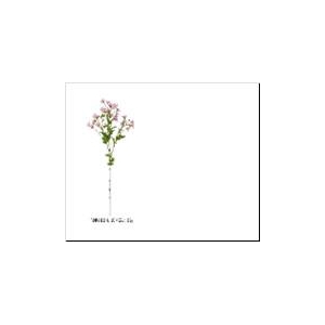AF Matricaria spray L65cm pink